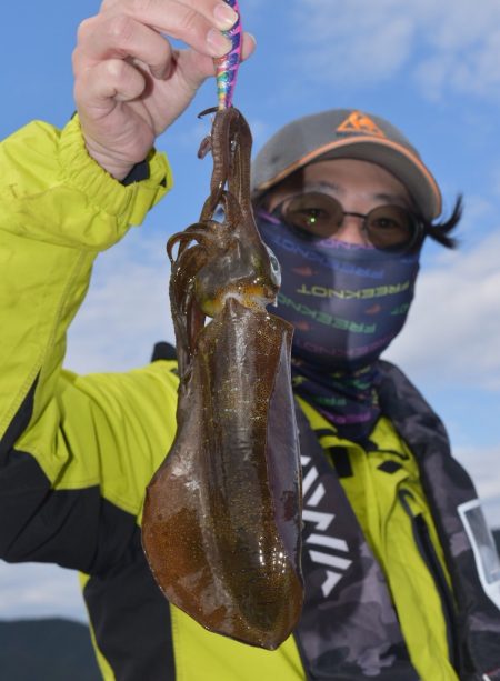 渡船屋たにぐち 釣果