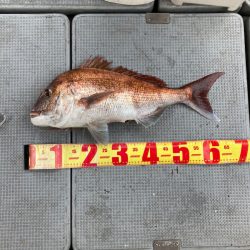 遊漁船高橋 釣果