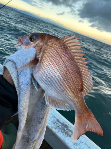 美宝丸 釣果