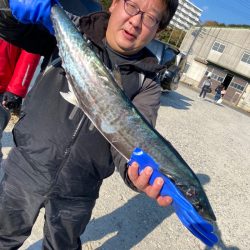 みやけ丸 釣果