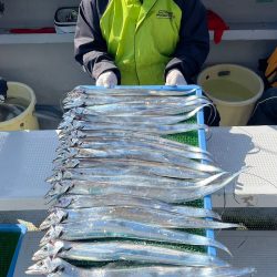 釣人家 釣果