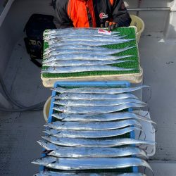 釣人家 釣果