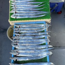 釣人家 釣果