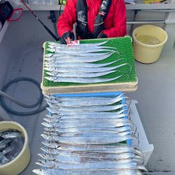 釣人家 釣果