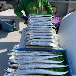 釣人家 釣果