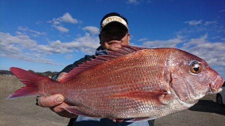 第三共栄丸 釣果