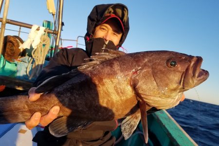 進誠丸 釣果