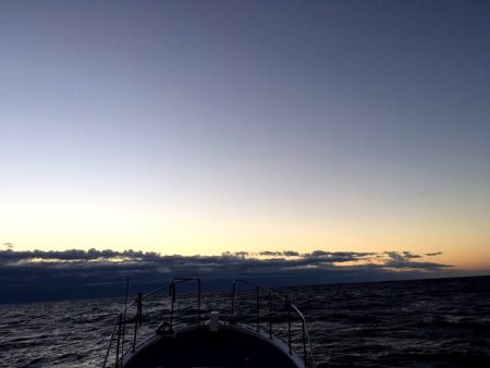 渡船屋たにぐち 釣果