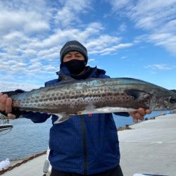 ぽん助丸 釣果