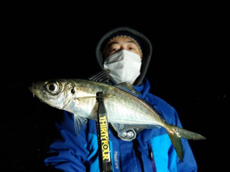 シースナイパー海龍 釣果