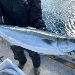 みやけ丸 釣果