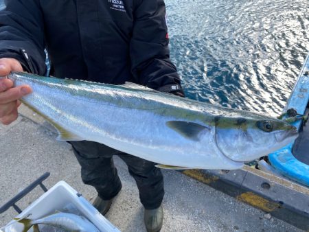 みやけ丸 釣果