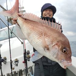 シーライオン 釣果