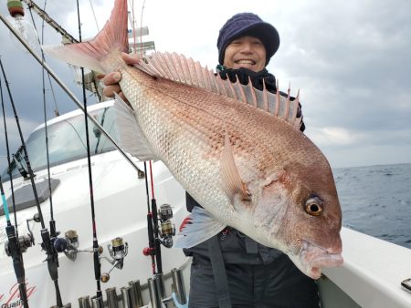 シーライオン 釣果