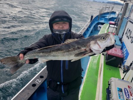 丸万釣船 釣果