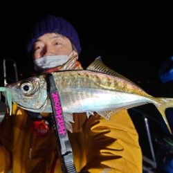 シースナイパー海龍 釣果