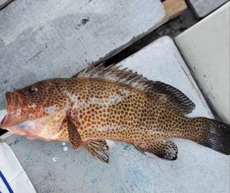 一華丸 釣果