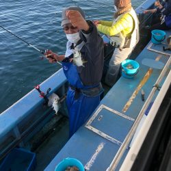 ヤザワ渡船 釣果