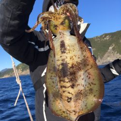 渡船屋たにぐち 釣果