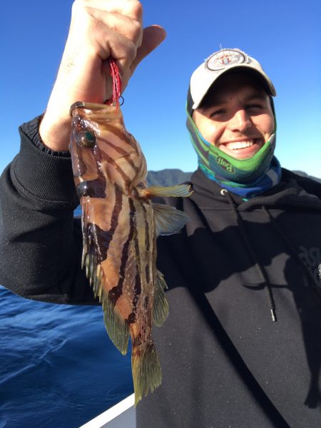 渡船屋たにぐち 釣果