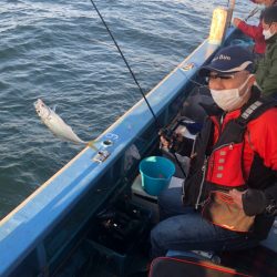 ヤザワ渡船 釣果