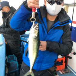 ヤザワ渡船 釣果