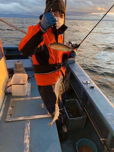 ヤザワ渡船 釣果