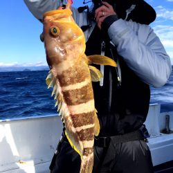 渡船屋たにぐち 釣果