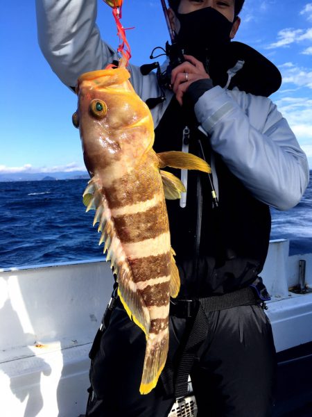 渡船屋たにぐち 釣果