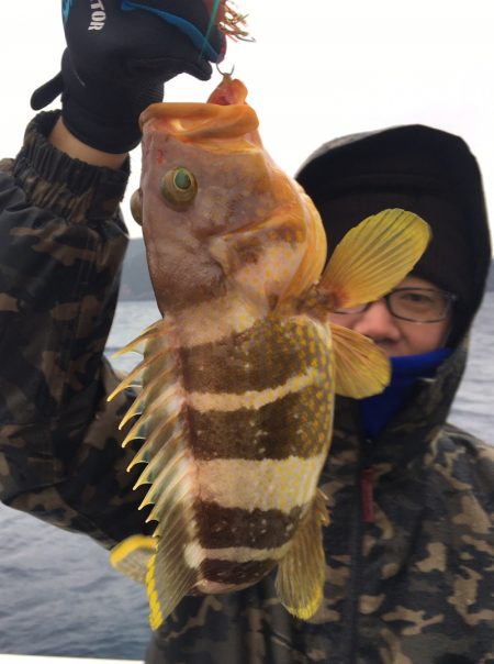 渡船屋たにぐち 釣果