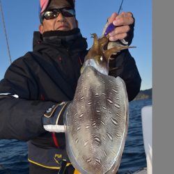 渡船屋たにぐち 釣果