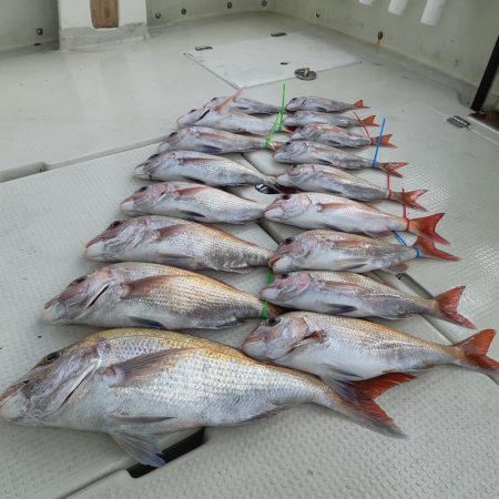 KIM Fishing Guide Service 釣果