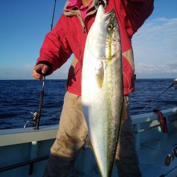 ひな丸 釣果