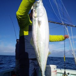 ひな丸 釣果