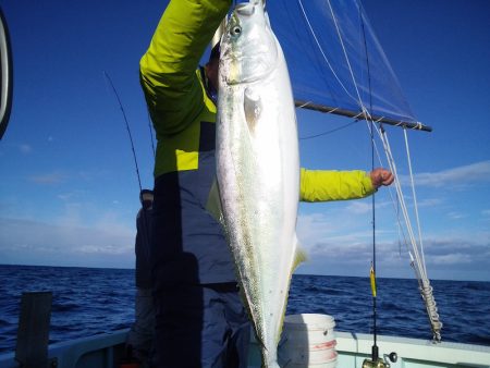 ひな丸 釣果