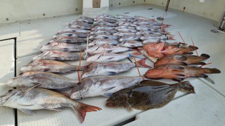 KIM Fishing Guide Service 釣果