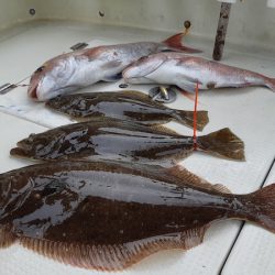 KIM Fishing Guide Service 釣果