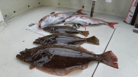 KIM Fishing Guide Service 釣果