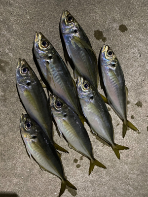 新年初釣り！！