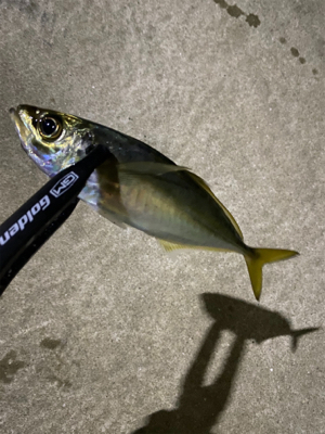 新年初釣り！！