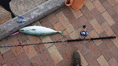 初釣りは冬の青物狙い