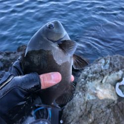 浅海にて。