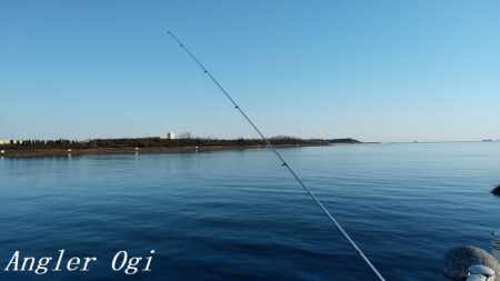 根魚は真冬でも裏切らない！