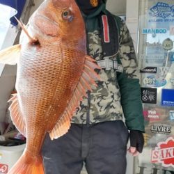 遊漁船　ニライカナイ 釣果