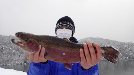 フィッシングレイクたかみや 釣果