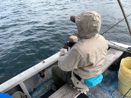 幸吉丸 釣果