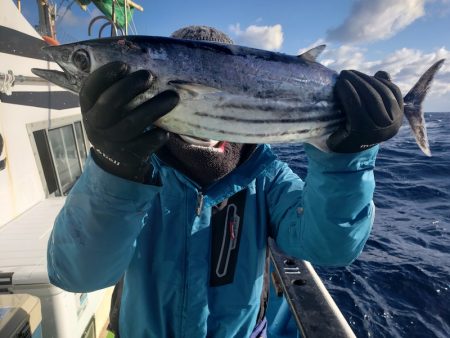 丸万釣船 釣果