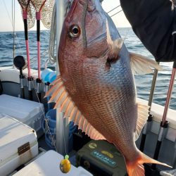 珀宝丸 釣果