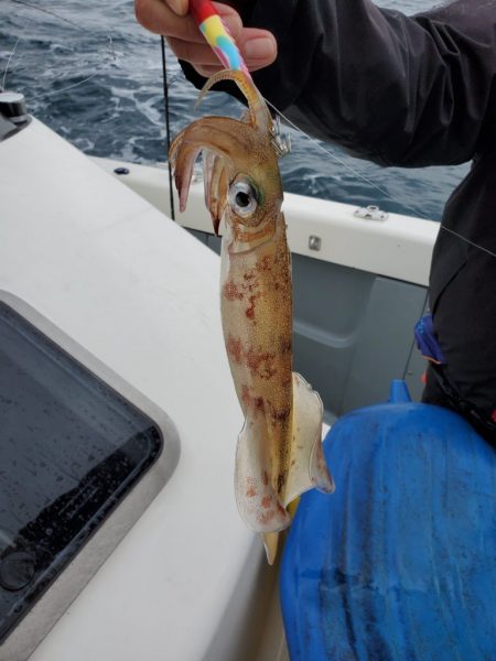 珀宝丸 釣果