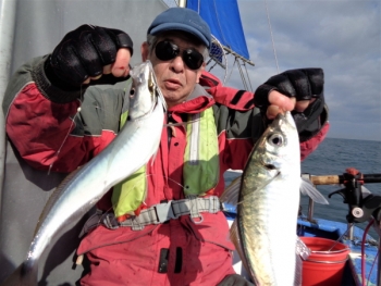 鯛紅丸 釣果